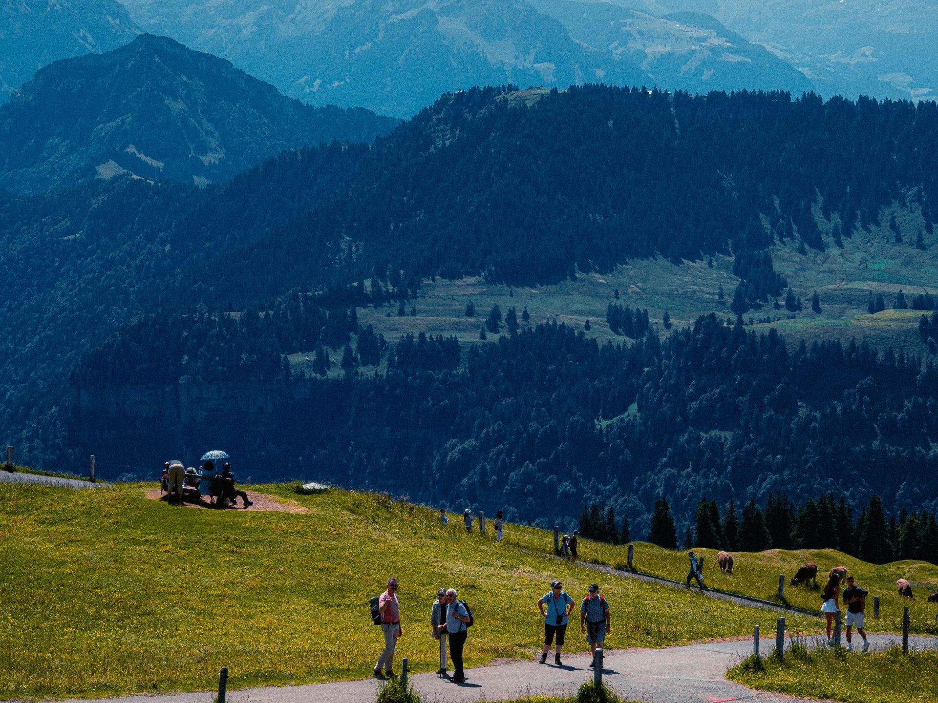 Partir en montagne en été, pourquoi pas ?