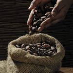 Pourquoi utiliser du beurre de cacao en pâtisserie ?