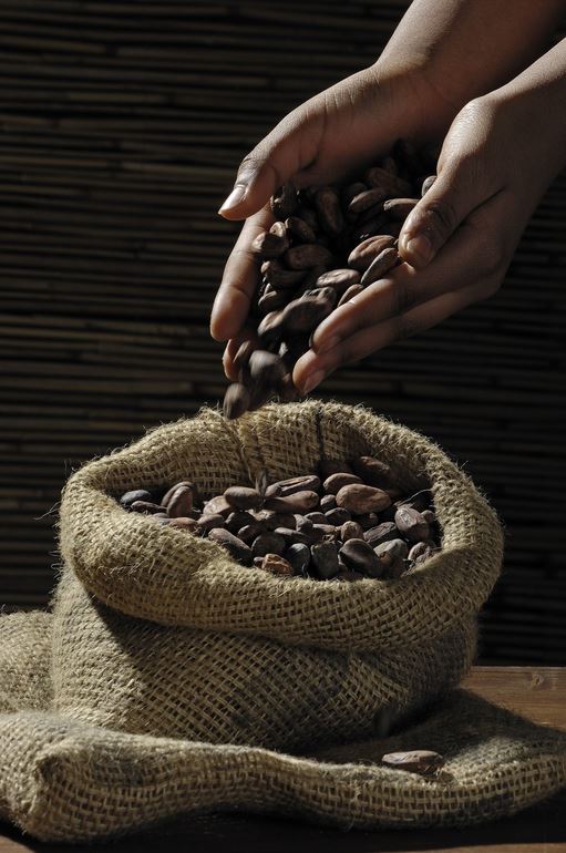 Pourquoi utiliser du beurre de cacao en pâtisserie ?